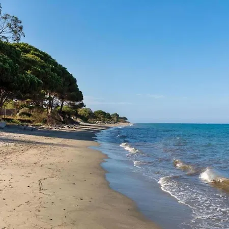 Mb6 Sans Vue By Interhome Moriani Plage